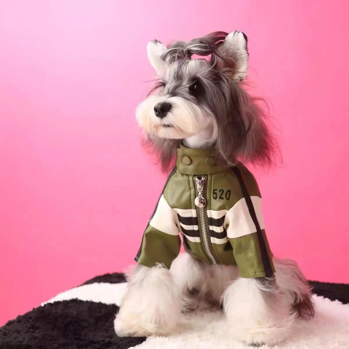 Dog Autumn and Winter Clothes Outwear Motorcycle Jacket