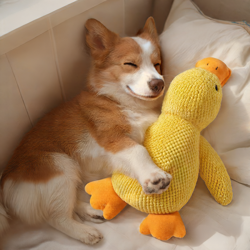 Plush Dog Toy